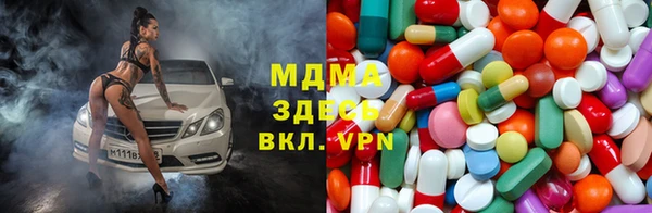 сатива Новозыбков