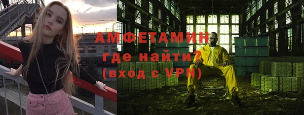 сатива Новозыбков